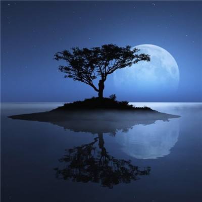 2023管家婆资料正版大全澳门app下载