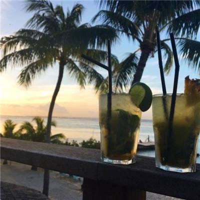 开元app下载手机版