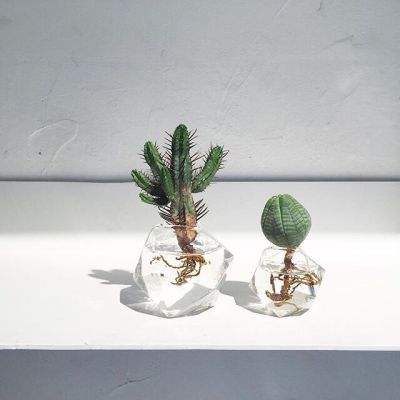 快盈lV购彩大厅截图