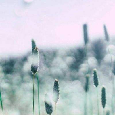 乐鱼app手机app下载