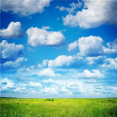 凤凰彩票56677官网入口查询